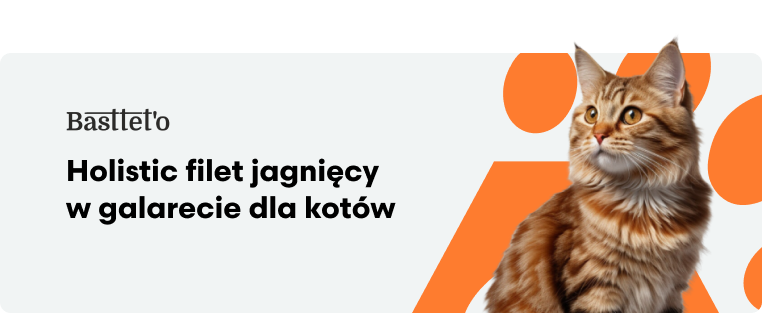 Bastetto Holistic Filet jagnięcy w galarecie dla kotów