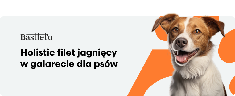 Bastetto Holistic Filet jagnięcy w galarecie dla psów