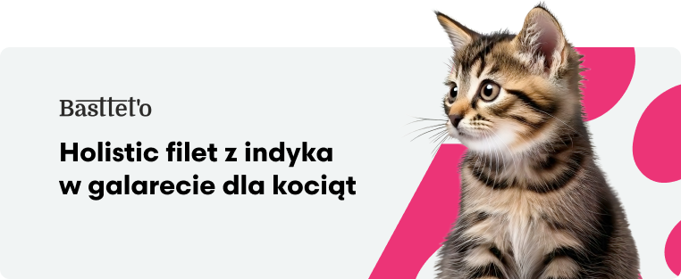 Bastetto Holistic Filet z indyka w galarecie dla kociąt