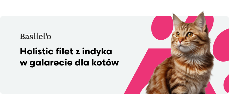 Bastetto Holistic Filet z indyka w galarecie dla kotów