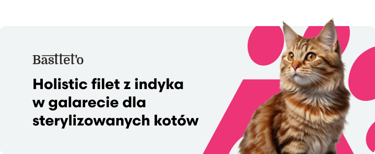 Bastetto Holistic Filet z indyka w galarecie dla sterylizowanych kotów