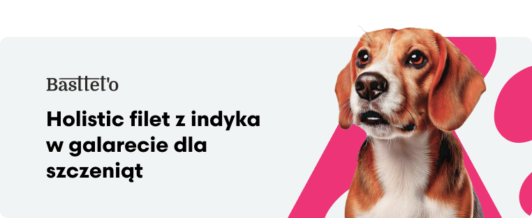 Filety z indyka z ananasem w galarecie