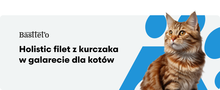 Bastetto Holistic Filet z kurczaka w galarecie dla kotów