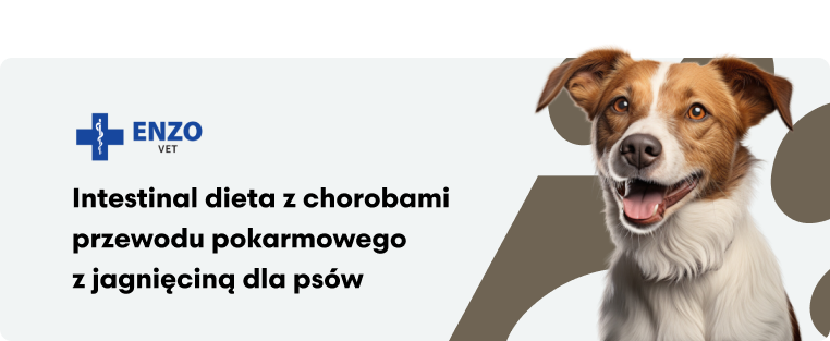 ENZO VET Intestinal – Dieta z chorobami przewodu pokarmowego z jagnięciną dla psów