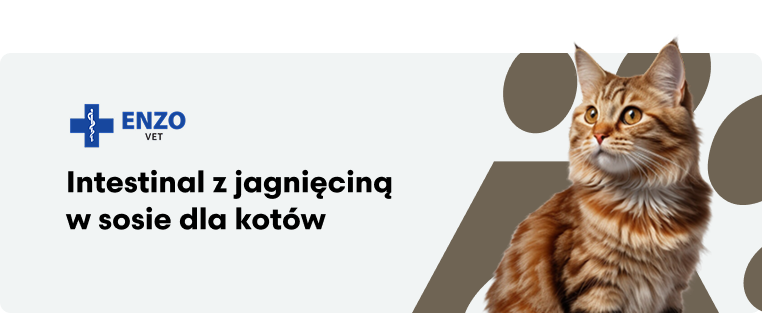 ENZO VET Intestinal z jagnięciną w sosie