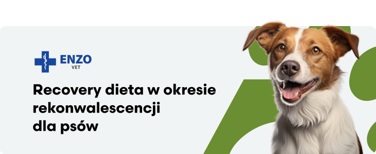 ENZO VET Recovery – Dieta w okresie rekonwalescencji dla psów