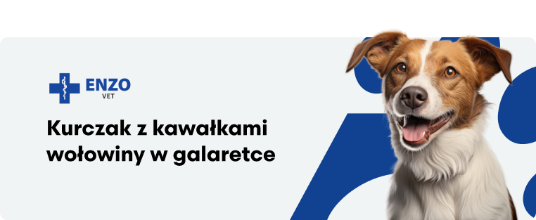 ENZO VET Renal – Dieta na choroby nerek z wołowiną dla psów