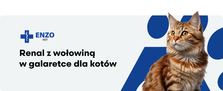 ENZO VET Renal z wołowiną w galaretce dla kotów