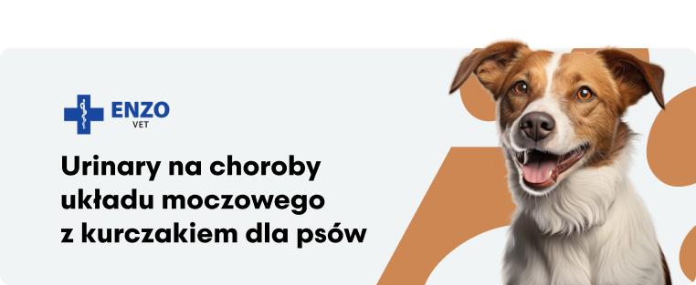 ENZO VET Urinary – Dieta na choroby układu moczowego