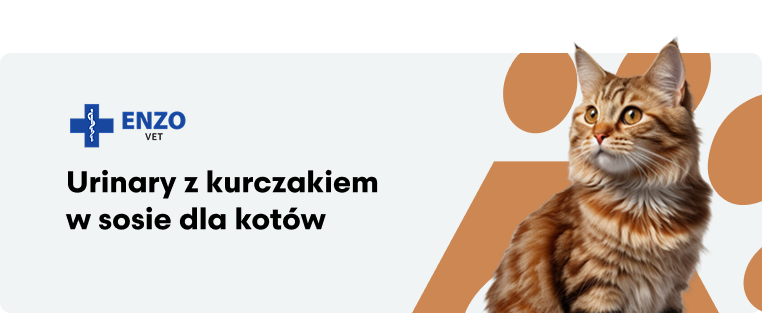ENZO VET Urinary z kurczakiem w sosie dla kotów
