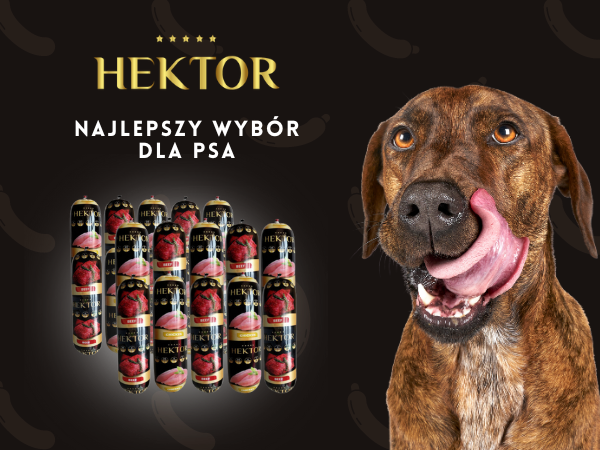 Hektor