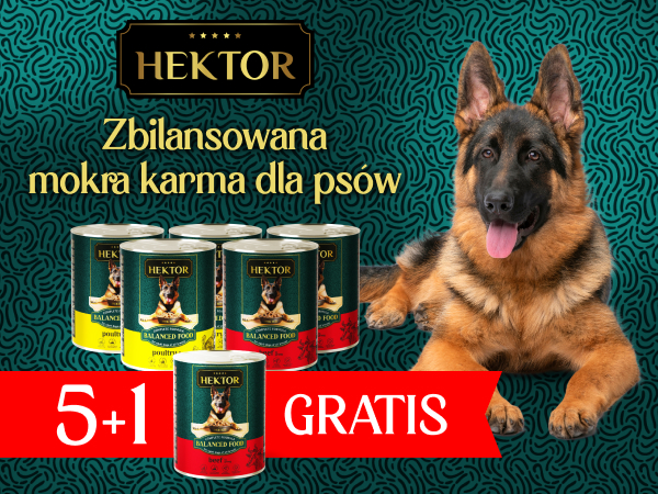 HEKTOR 5+1